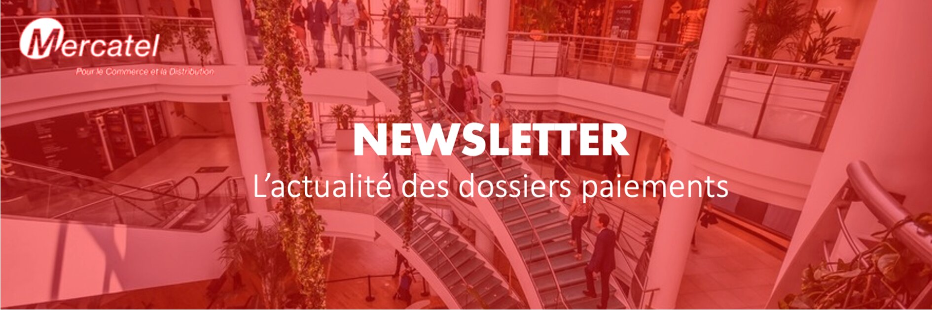 bandeau newsletter